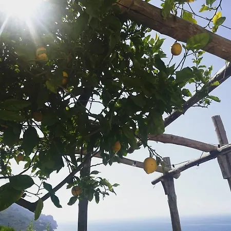 Torre Elisea Bed & Breakfast 4*