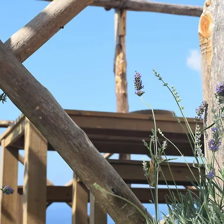 Bed & Breakfast Torre Elisea