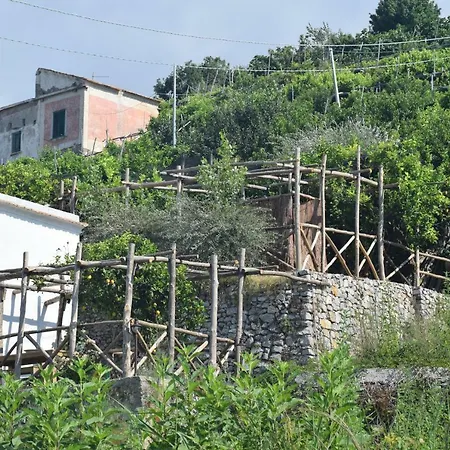 Bed & Breakfast Torre Elisea 4*